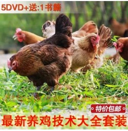 新生态科学散养肉鸡养殖光盘 5DVD+1书籍