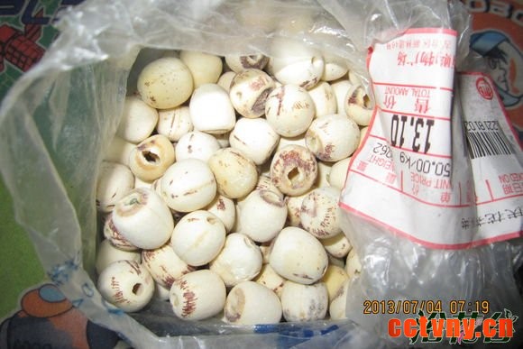 莲子能种出荷花吗