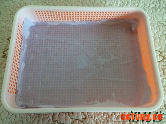 萝卜芽苗菜种植(图文)