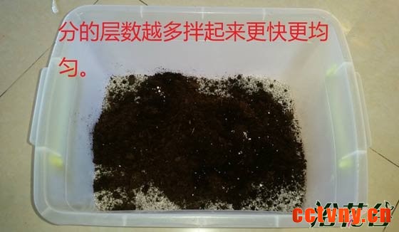 非洲紫罗兰怎么养（土壤篇）