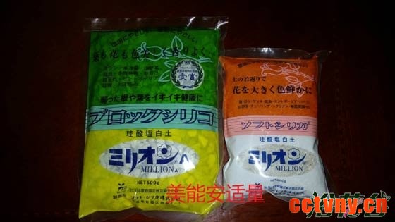 非洲紫罗兰怎么养（土壤篇）