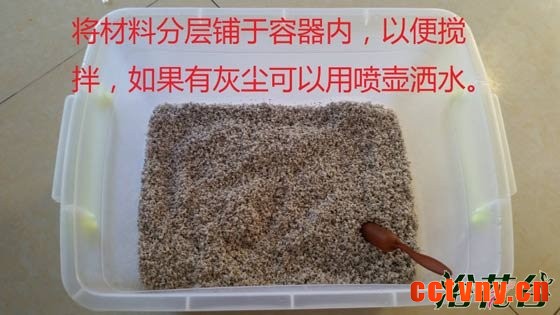 非洲紫罗兰怎么养（土壤篇）