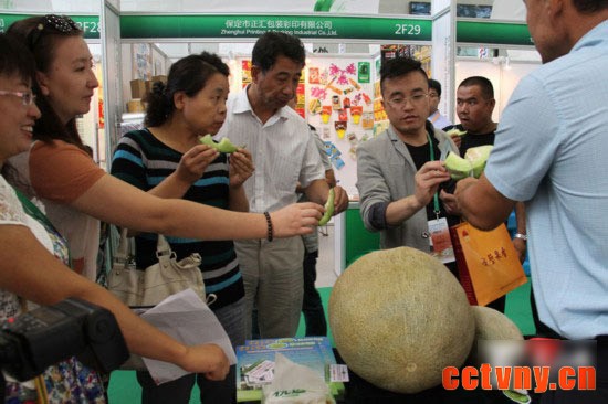 吐达洪·阿不都力米提和他的巨型甜瓜。