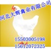 广州罗曼粉|河北大辉禽业|精品鸡苗