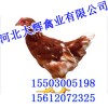 大辉禽业常年供应海兰褐-海兰褐鸡苗