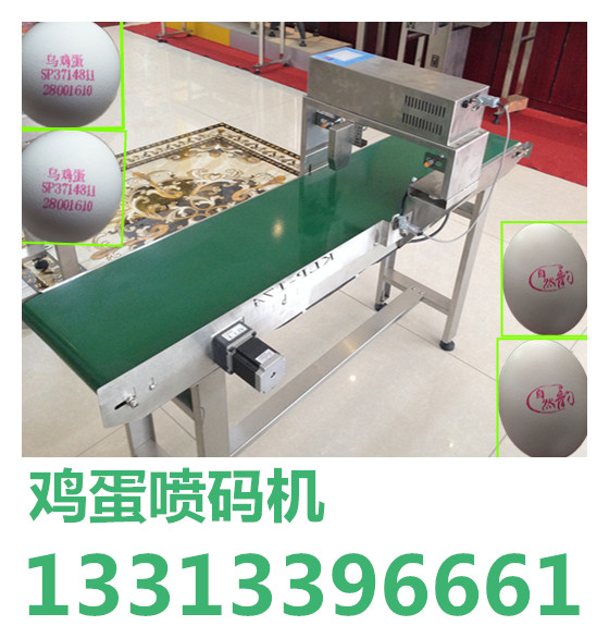 鸡蛋喷码机批发，中秋鸡蛋喷码机销售13313396661