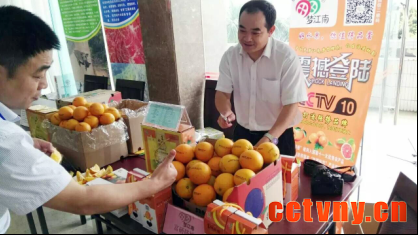 梦江南脐橙展览2