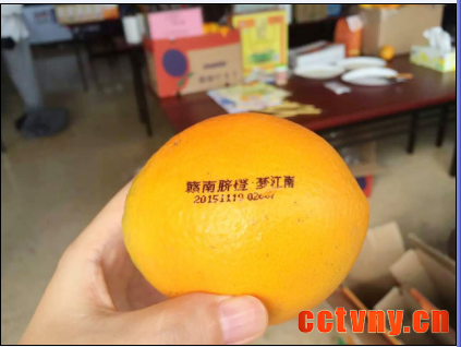 梦江南脐橙防伪标